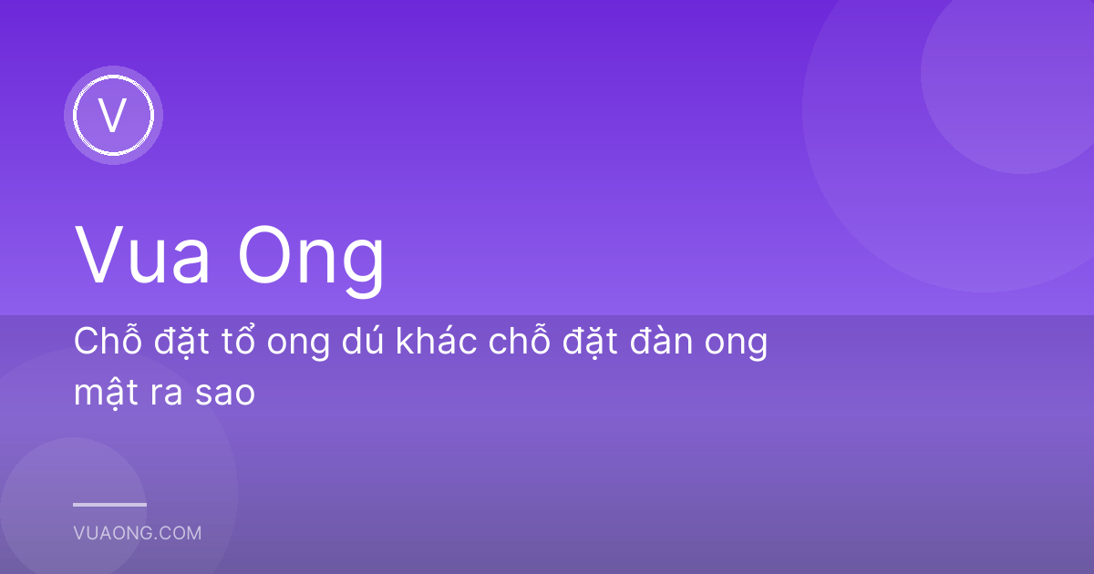 Chỗ đặt tổ ong dú khác chỗ đặt đàn ong mật ra sao