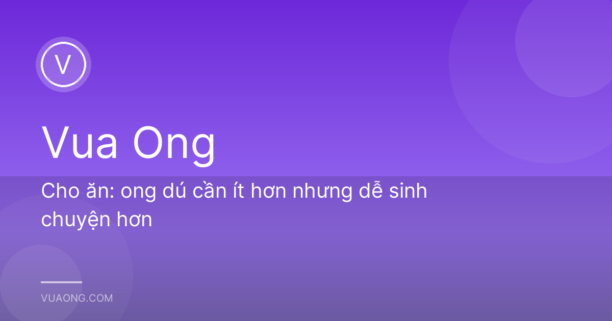 Cho ăn: ong dú cần ít hơn nhưng dễ sinh chuyện hơn