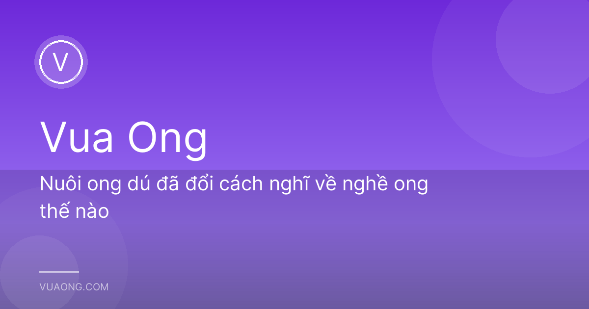 Nuôi ong dú đã đổi cách nghĩ về nghề ong thế nào
