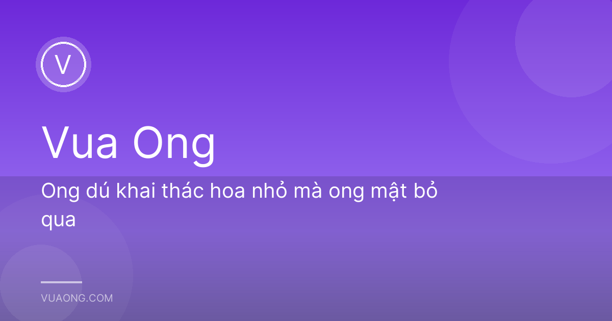 Ong dú khai thác hoa nhỏ mà ong mật bỏ qua