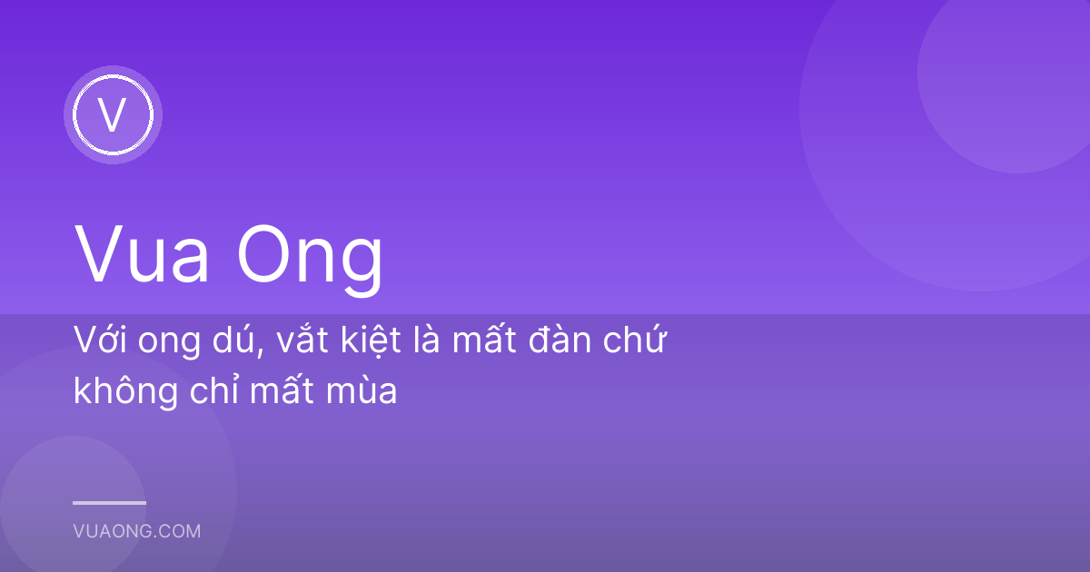 Với ong dú, vắt kiệt là mất đàn chứ không chỉ mất mùa