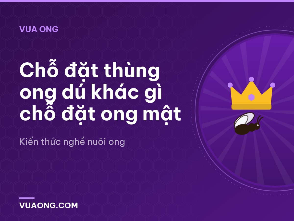 Chỗ đặt thùng ong dú khác gì chỗ đặt ong mật