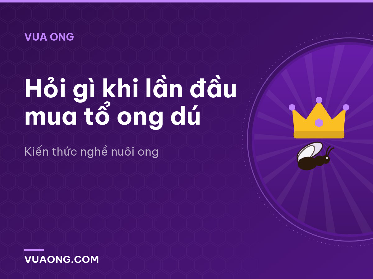 Hỏi gì khi lần đầu mua tổ ong dú