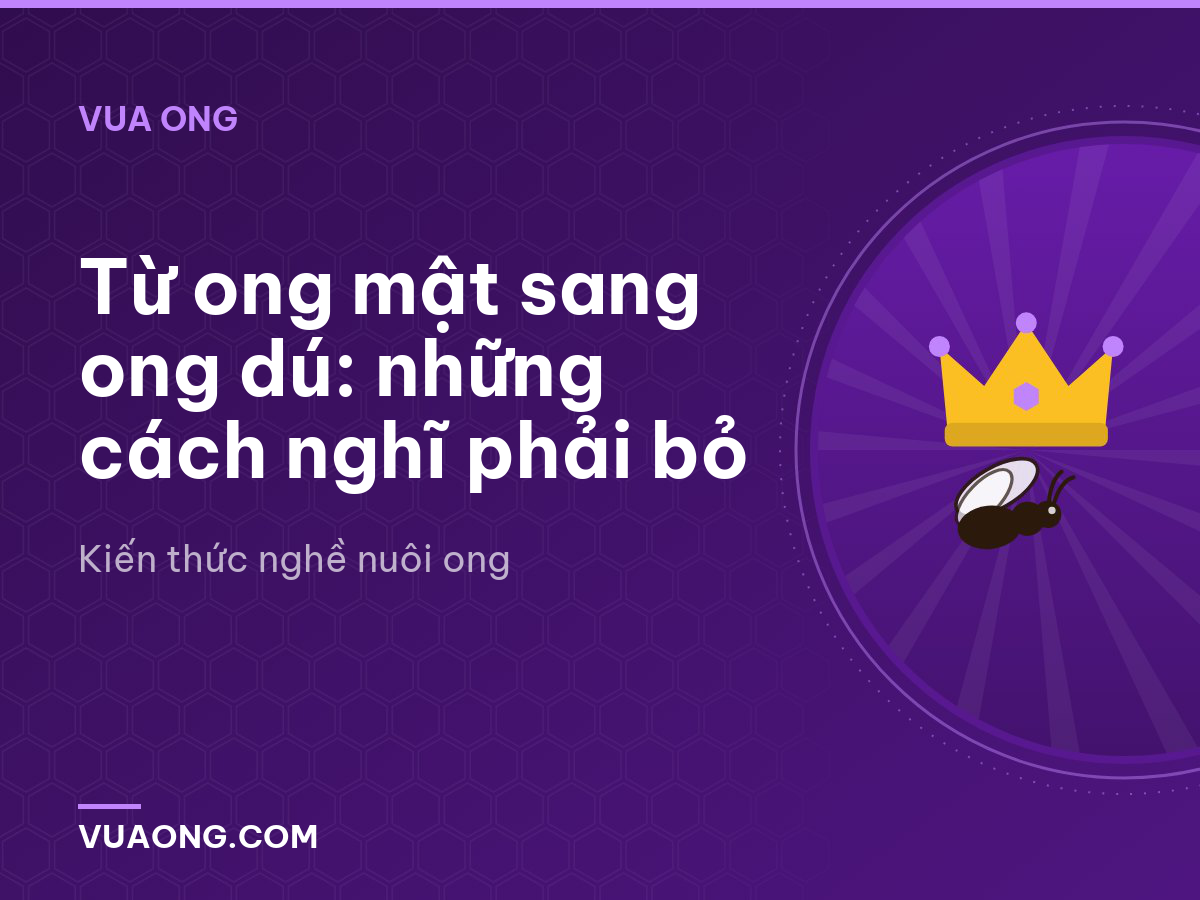 Từ ong mật sang ong dú: những cách nghĩ phải bỏ